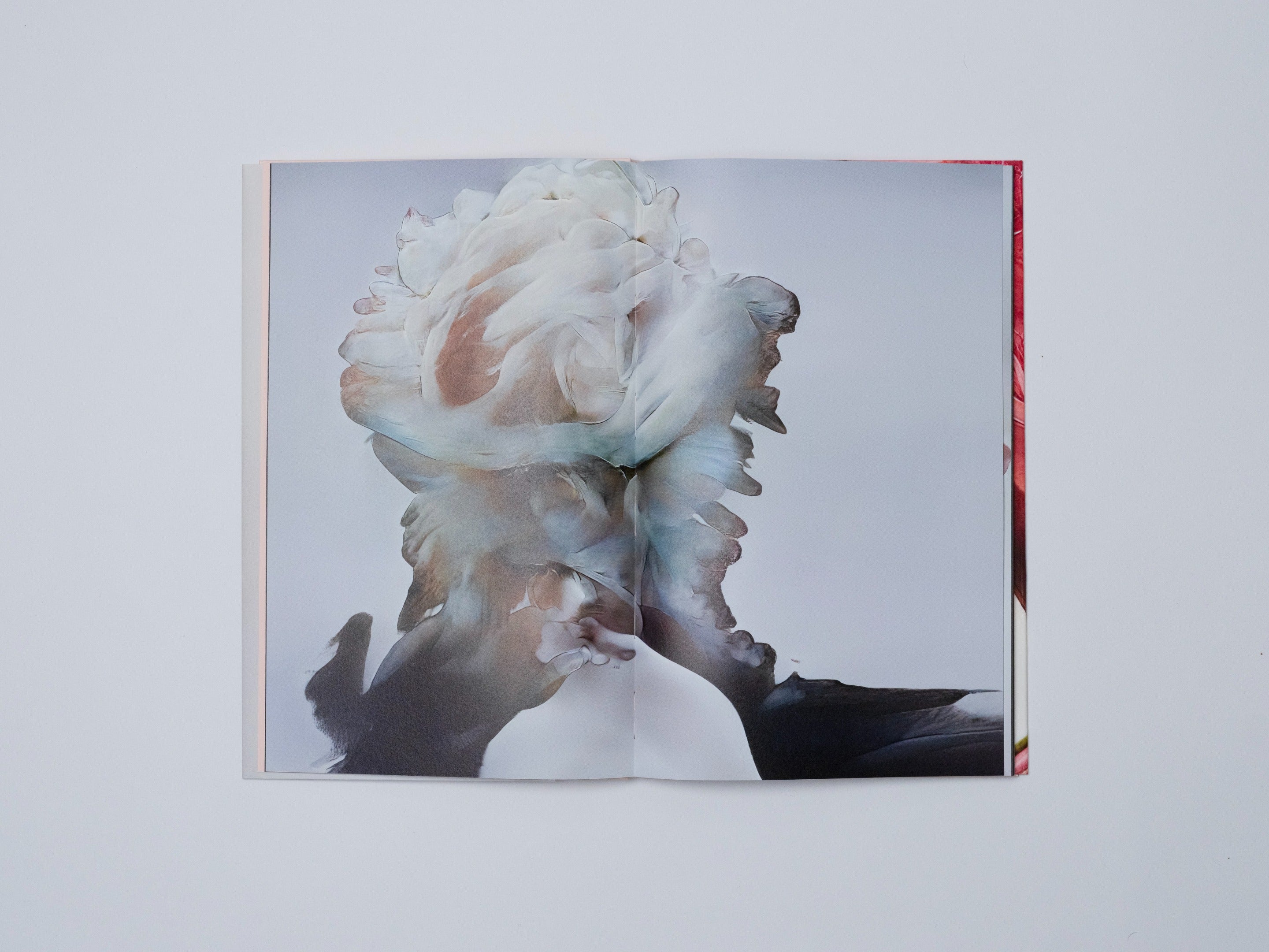 HANATABA - PHOTO BOOK 