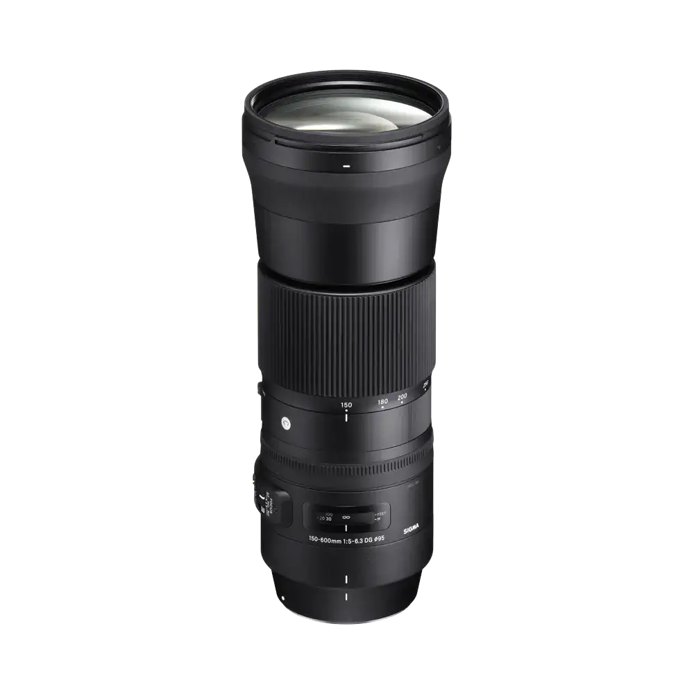 SIGMA 150-600mm F5-6.3 DG OS HSM Canon用 Sigma 150-600mm f5-6.3 C EOS | £849.00 - Castle Cameras