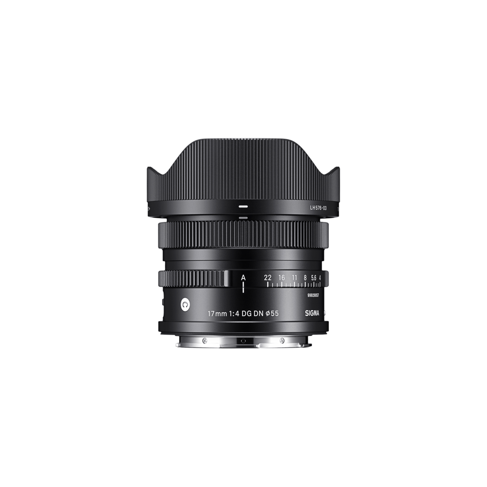 17mm F4 DG DN