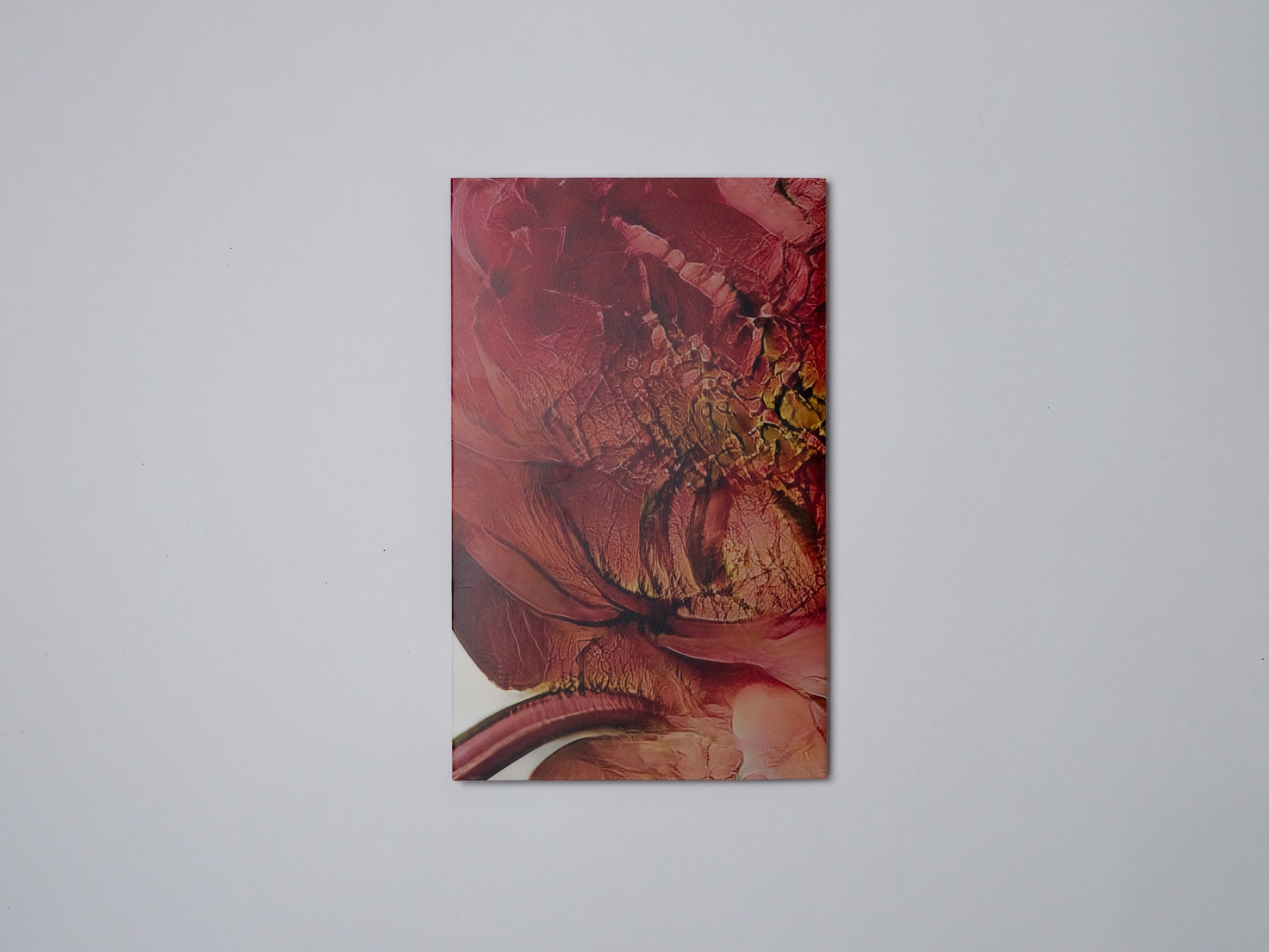 HANATABA - PHOTO BOOK 