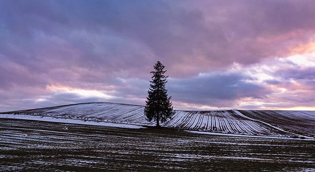 I breathe life into photographs by visualizing the melody of scenery: SIGMA 20mm F2 DG DN | Contemporary